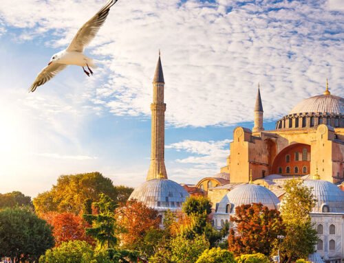 İstanbul Shuttle 4 You ile tanışın